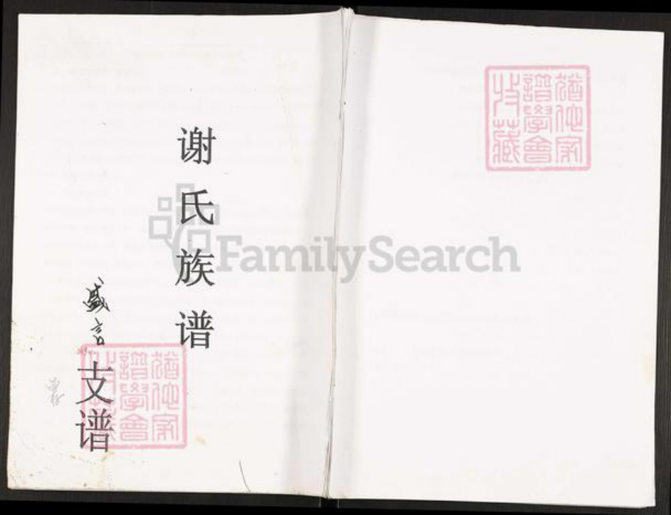 重庆市开州区谢氏族谱-谢氏族谱.pdf电子版插图