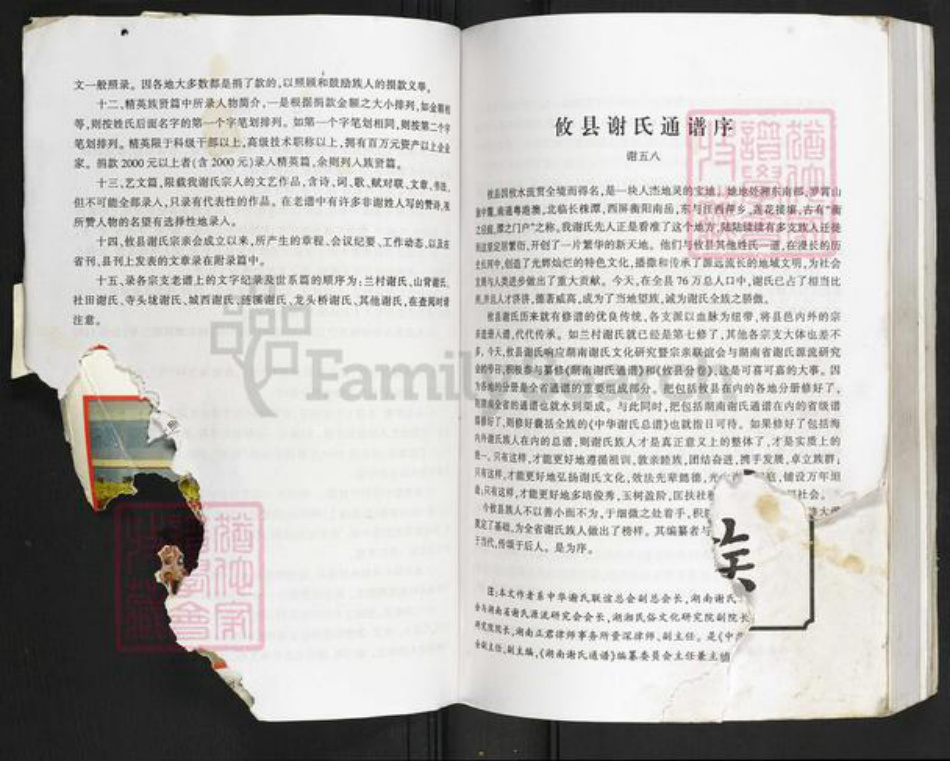 湖南省株洲市攸县黄丰桥镇谢氏族谱-湖南谢氏通谱.攸县分卷.pdf电子版插图3 湖南省株洲市攸县黄丰桥镇谢氏族谱-湖南谢氏通谱.攸县分卷.pdf电子版插图3