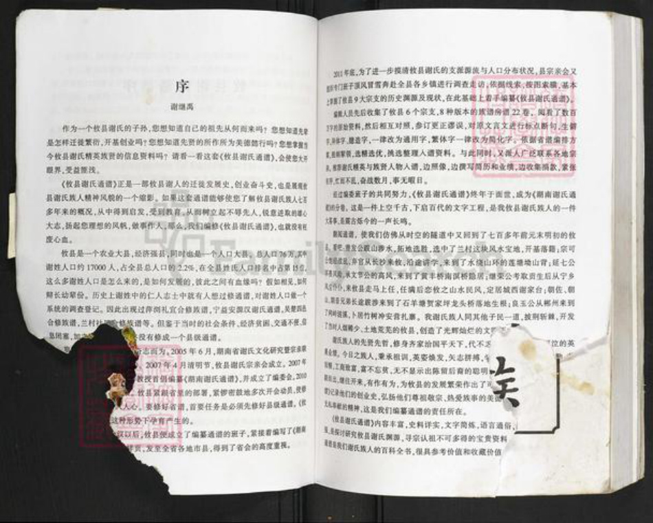 湖南省株洲市攸县黄丰桥镇谢氏族谱-湖南谢氏通谱.攸县分卷.pdf电子版插图4 湖南省株洲市攸县黄丰桥镇谢氏族谱-湖南谢氏通谱.攸县分卷.pdf电子版插图4