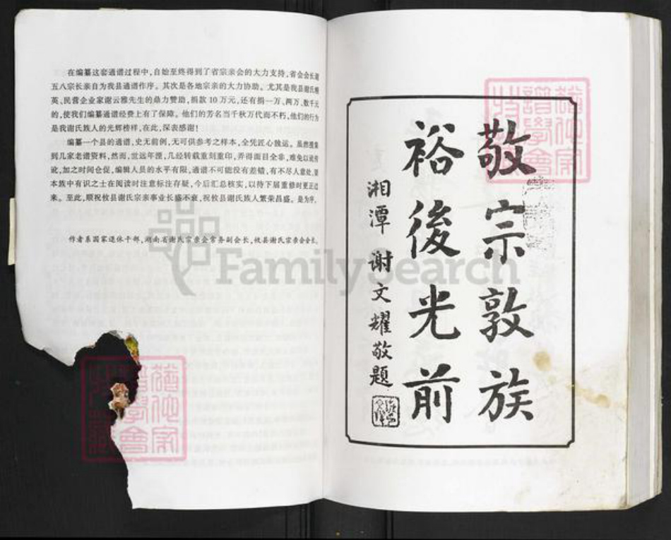 湖南省株洲市攸县黄丰桥镇谢氏族谱-湖南谢氏通谱.攸县分卷.pdf电子版插图5 湖南省株洲市攸县黄丰桥镇谢氏族谱-湖南谢氏通谱.攸县分卷.pdf电子版插图5