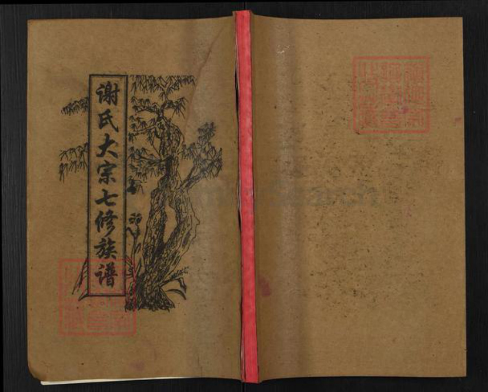 湖南省湘潭市湘乡市湘乡谢氏宝树堂族谱-谢氏大宗七修族谱.pdf电子版