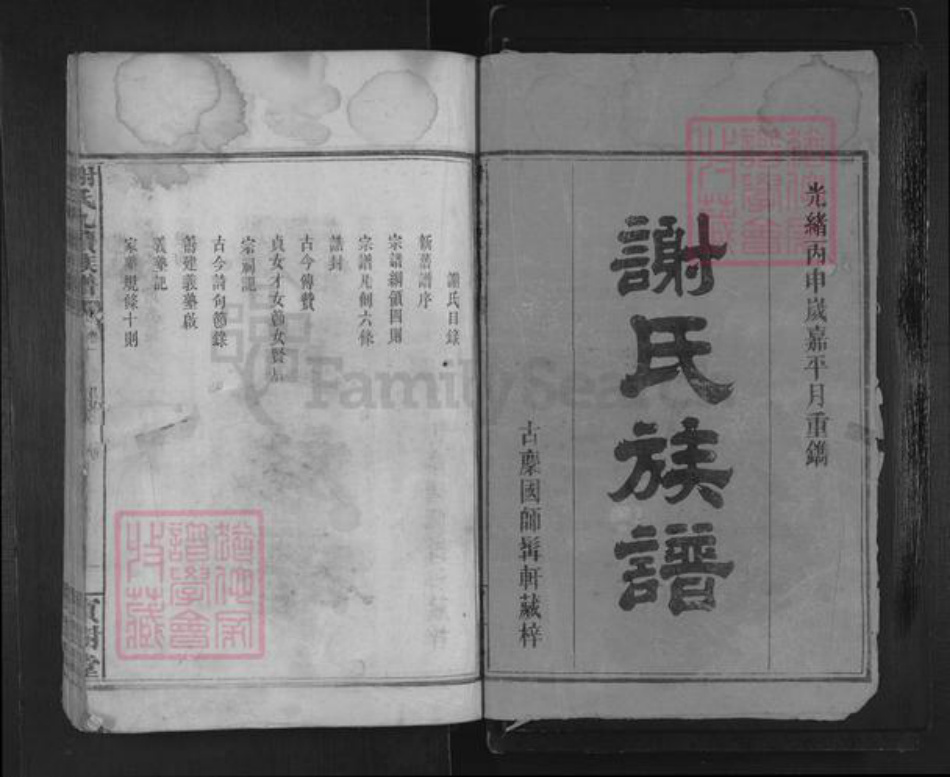 湖南省岳阳市临湘市临湘谢氏宝树堂族谱-南庄谢氏九续族谱.pdf电子版插图1 湖南省岳阳市临湘市临湘谢氏宝树堂族谱-南庄谢氏九续族谱.pdf电子版插图1