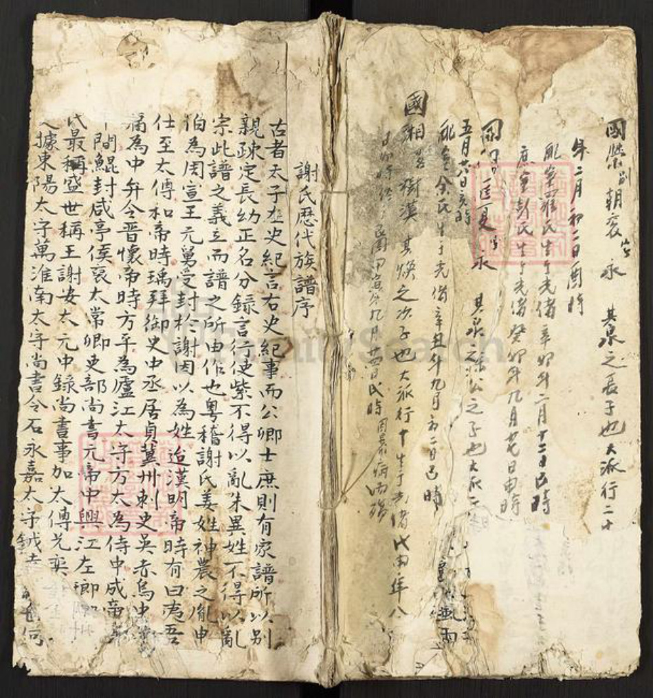 湖南省永州市东安县谢氏族谱-Missing Title.pdf电子版插图