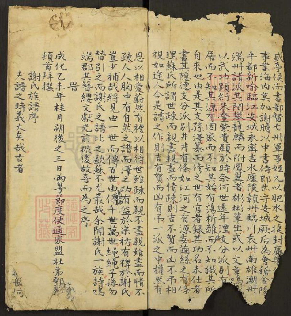 湖南省永州市东安县谢氏族谱-Missing Title.pdf电子版插图2