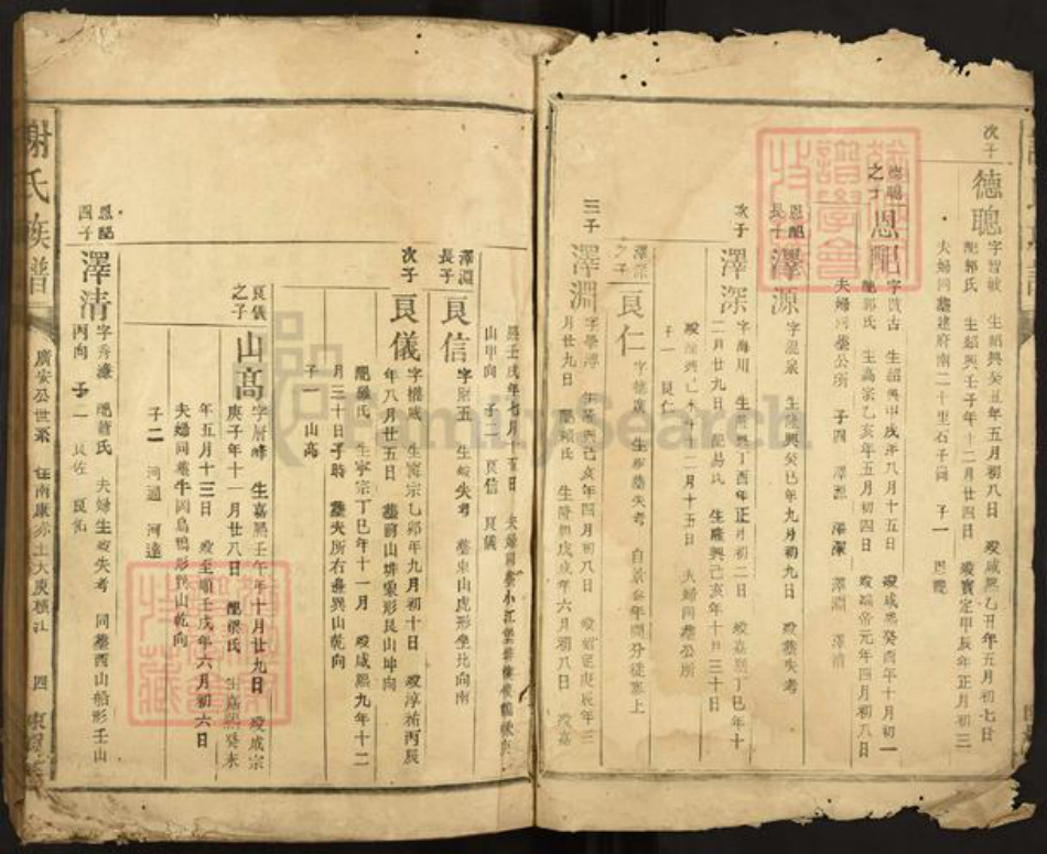 江西省赣州市南康区谢氏陈留堂族谱-谢氏族谱.pdf电子版