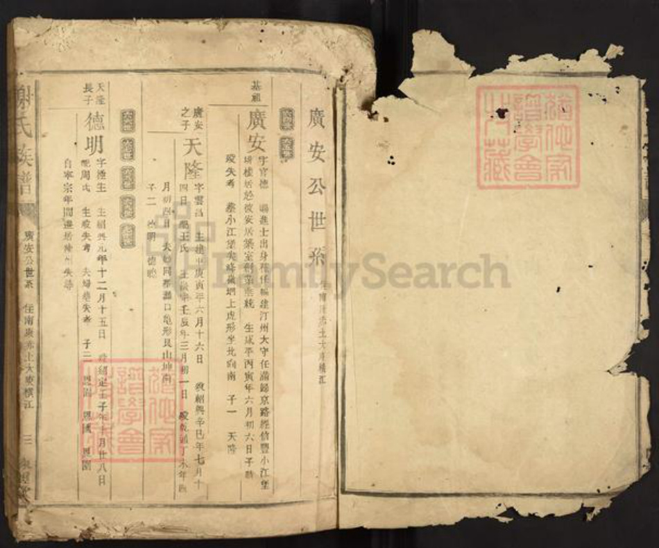 江西省赣州市南康区谢氏陈留堂族谱-谢氏族谱.pdf电子版插图2 江西省赣州市南康区谢氏陈留堂族谱-谢氏族谱.pdf电子版插图2