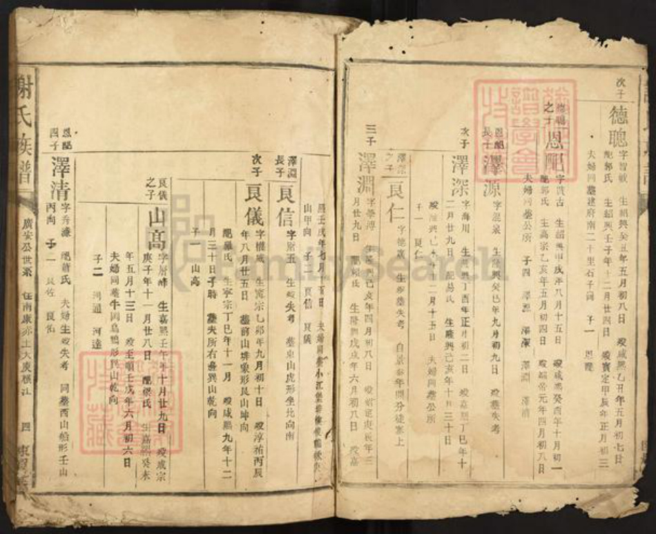 江西省赣州市南康区谢氏陈留堂族谱-谢氏族谱.pdf电子版插图3 江西省赣州市南康区谢氏陈留堂族谱-谢氏族谱.pdf电子版插图3