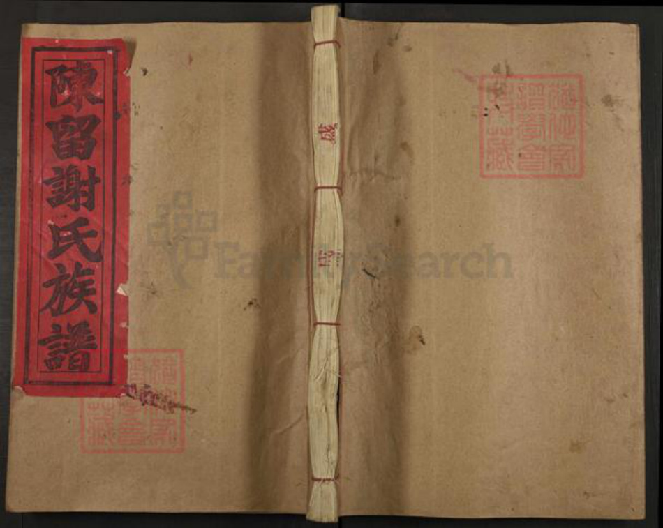 江西省抚州市广昌县谢氏族谱-陈留郡谢氏十修族谱.pdf电子版