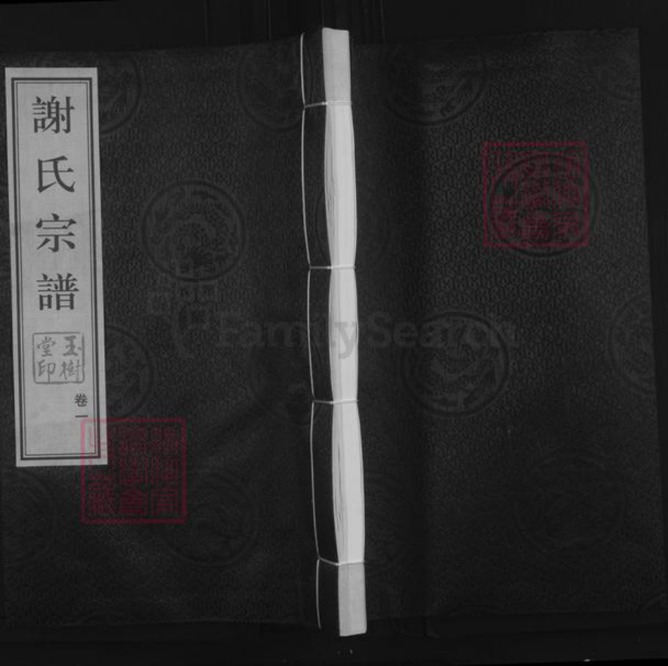 江苏省常州市武进县谢氏玉树堂族谱-谢氏宗谱.pdf电子版