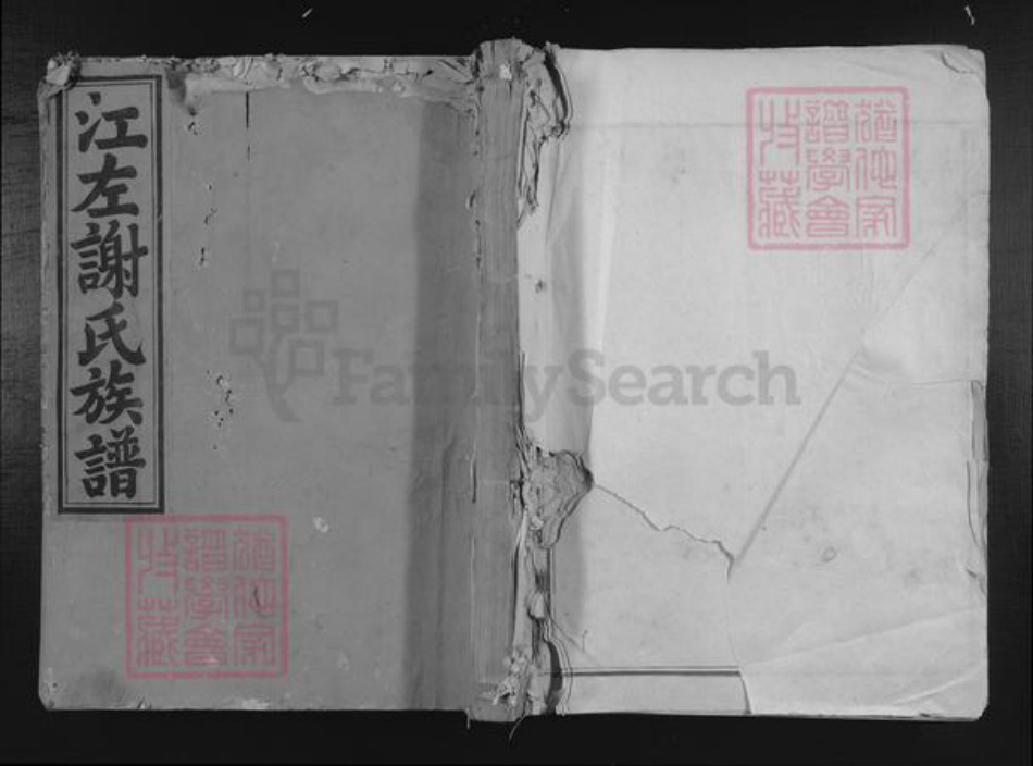 福建省谢氏族谱-江左谢氏族谱.pdf电子版