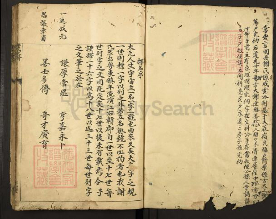 江西省赣州市谢氏东山堂族谱-谢氏家谱.pdf电子版插图1