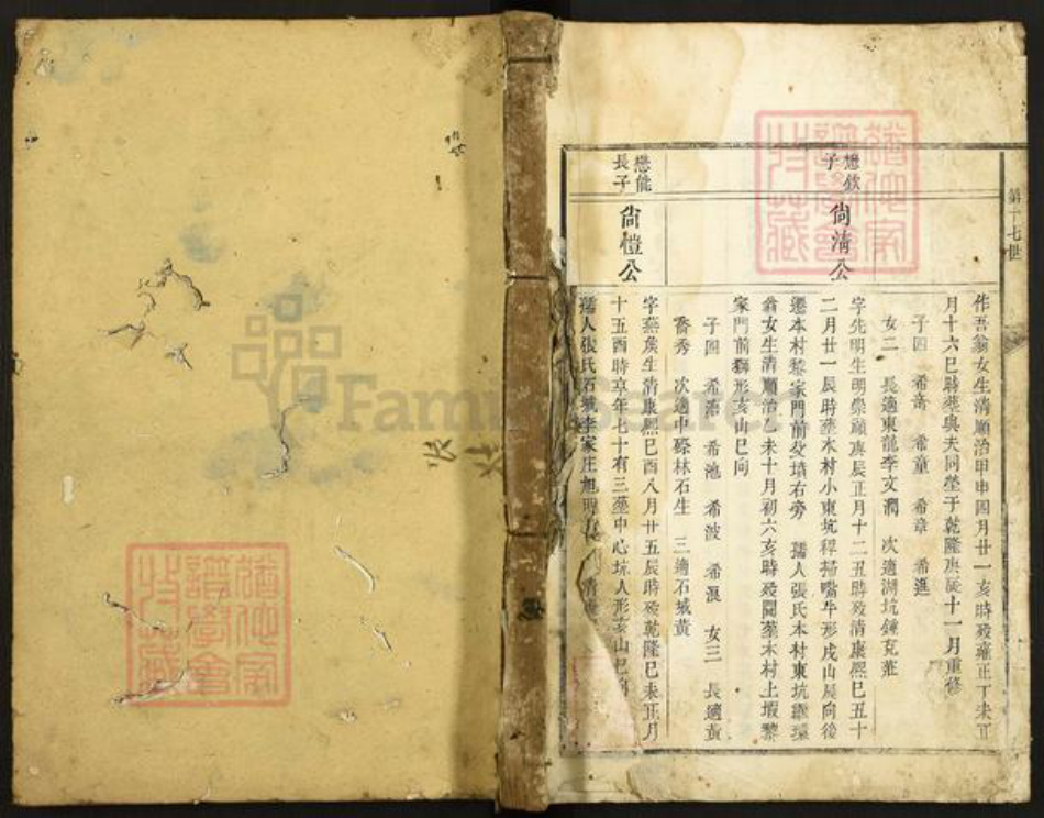 江西省赣州市宁都县谢氏族谱-东山谢氏三修族谱.pdf电子版插图 江西省赣州市宁都县谢氏族谱-东山谢氏三修族谱.pdf电子版插图