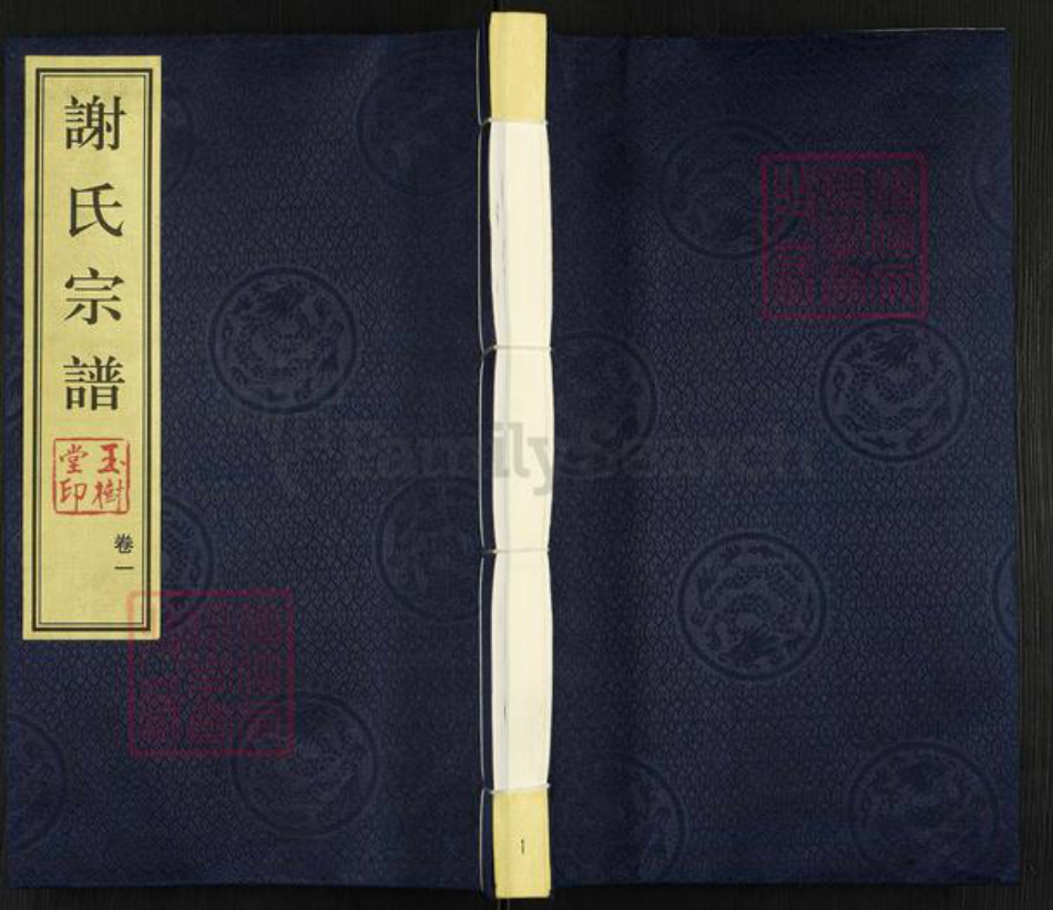 江苏省常州市武进县谢氏玉树堂族谱-谢氏宗谱.pdf电子版插图 江苏省常州市武进县谢氏玉树堂族谱-谢氏宗谱.pdf电子版插图