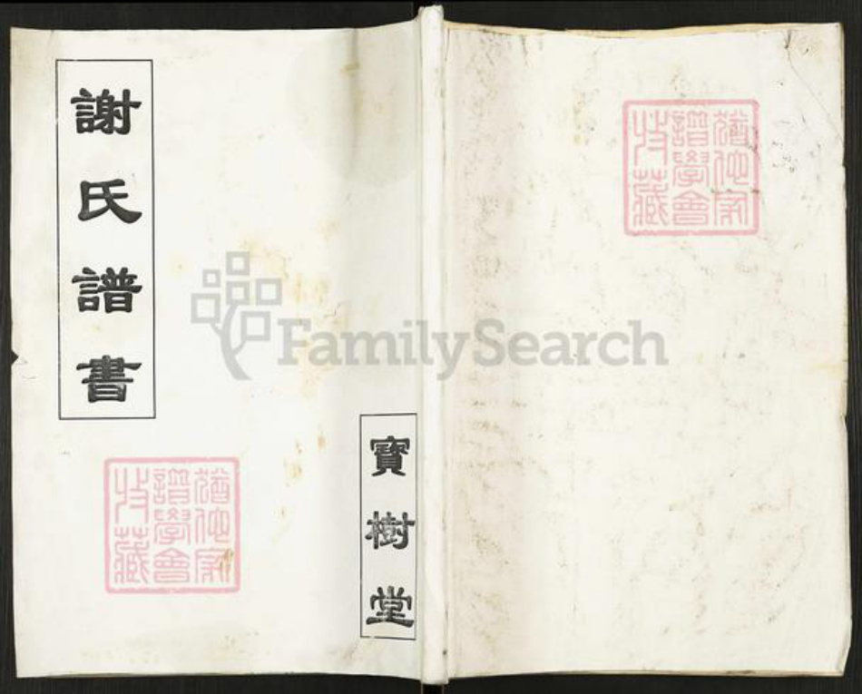 江苏省扬州市高邮市谢氏宝树堂族谱-谢氏谱书.pdf电子版插图