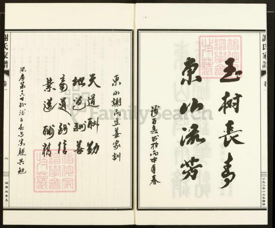 浙江省绍兴越城区谢氏玉树堂族谱-东山谢氏宗谱.pdf电子版插图2