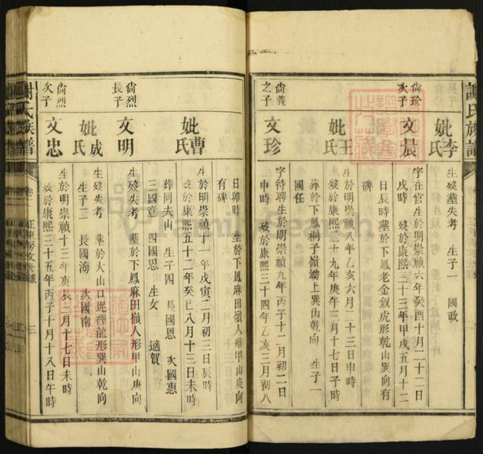 谢氏族谱-谢氏族谱.pdf电子版插图3