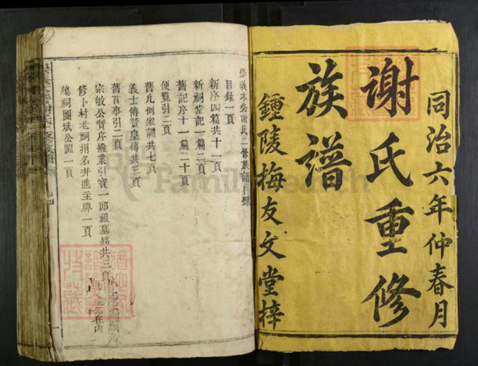 江西省赣州市崇义县江西省赣州市崇义县谢氏友文堂族谱-木砦谢氏二修族谱.pdf电子版插图1