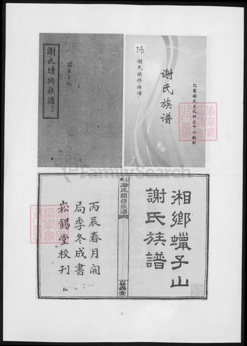 湖南省谢氏族谱-上湘谢氏续修族谱.pdf电子版