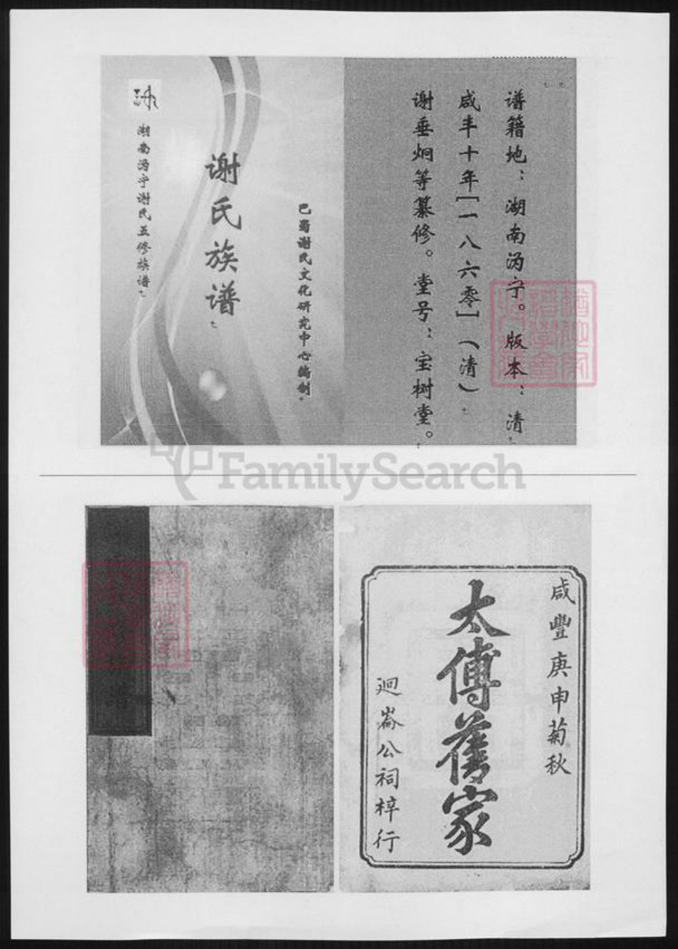 湖南省长沙市宁乡市谢氏宝树堂族谱-湖南沩宁谢氏五修族谱.pdf电子版