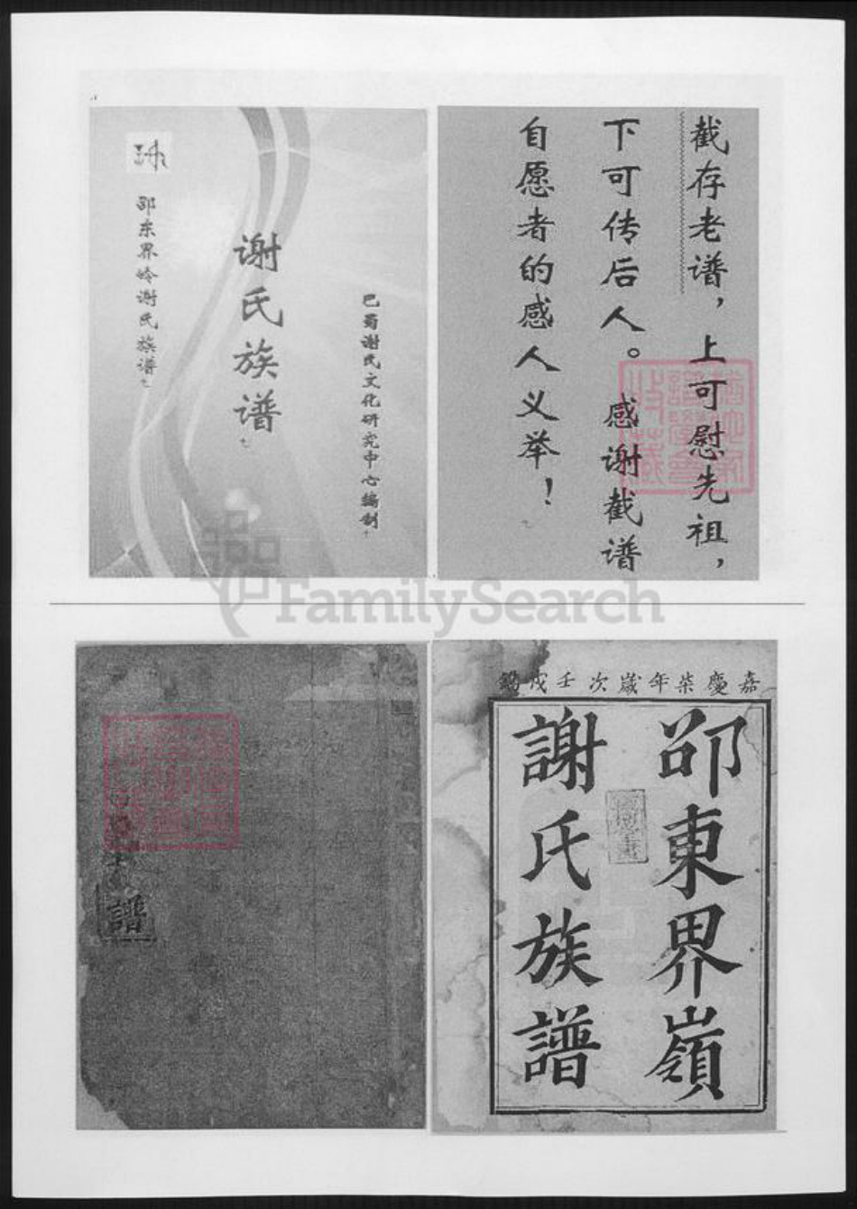 湖南省邵阳市邵东谢氏族谱-谢氏族谱.pdf电子版插图 湖南省邵阳市邵东谢氏族谱-谢氏族谱.pdf电子版插图