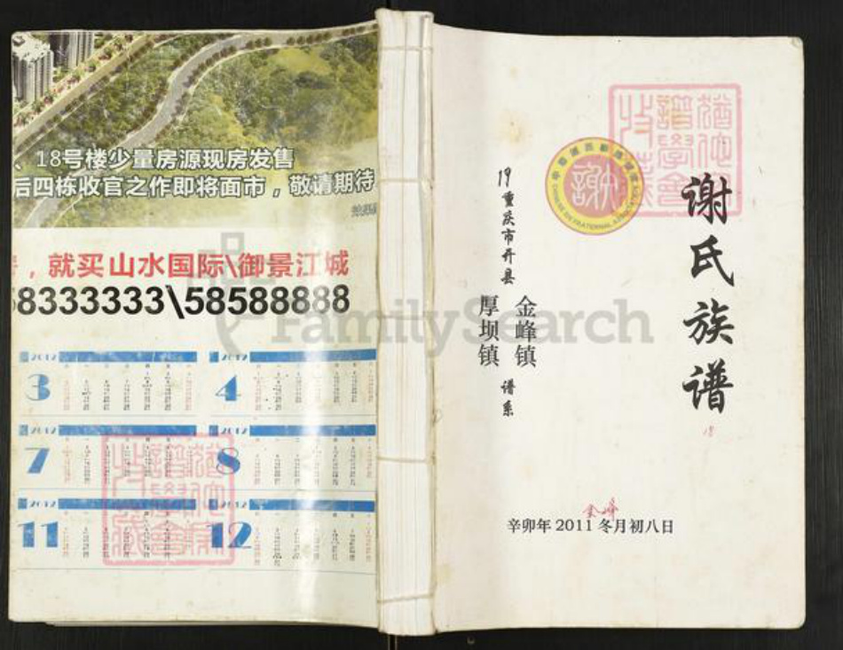 重庆市开州区重庆市万州开县谢；谢氏宝树堂族谱-谢氏族谱.pdf电子版