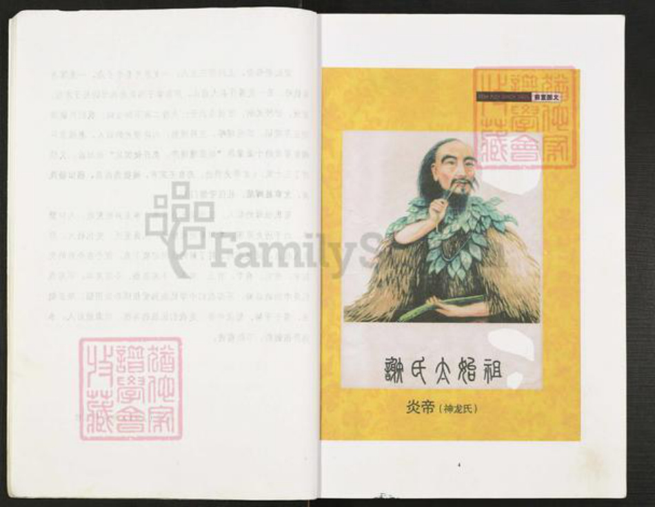 重庆市开州区重庆市万州开县谢；谢氏宝树堂族谱-谢氏族谱.pdf电子版插图5