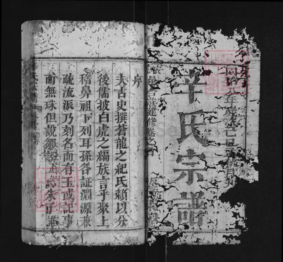 湖北省黄冈市红安县辛氏族谱-辛氏宗谱.pdf电子版插图1 湖北省黄冈市红安县辛氏族谱-辛氏宗谱.pdf电子版插图1