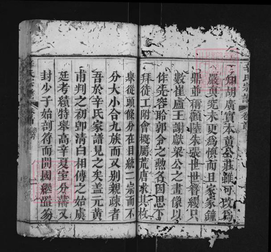 湖北省黄冈市红安县辛氏族谱-辛氏宗谱.pdf电子版插图2 湖北省黄冈市红安县辛氏族谱-辛氏宗谱.pdf电子版插图2