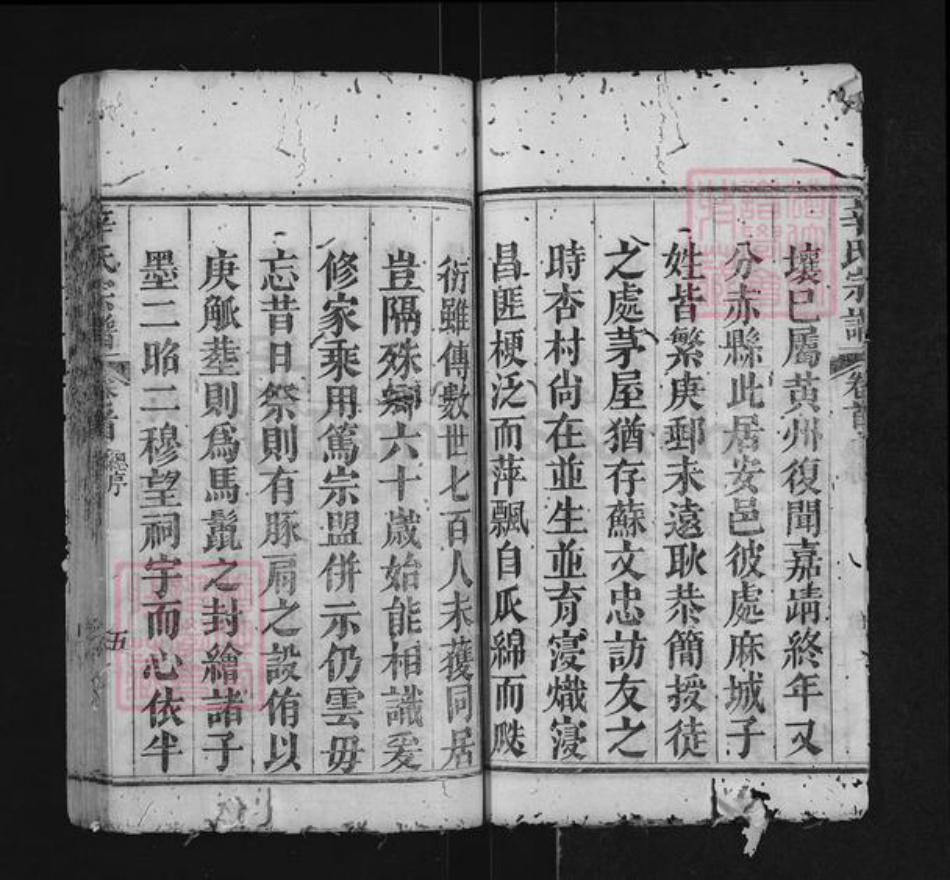 湖北省黄冈市红安县辛氏族谱-辛氏宗谱.pdf电子版插图5 湖北省黄冈市红安县辛氏族谱-辛氏宗谱.pdf电子版插图5