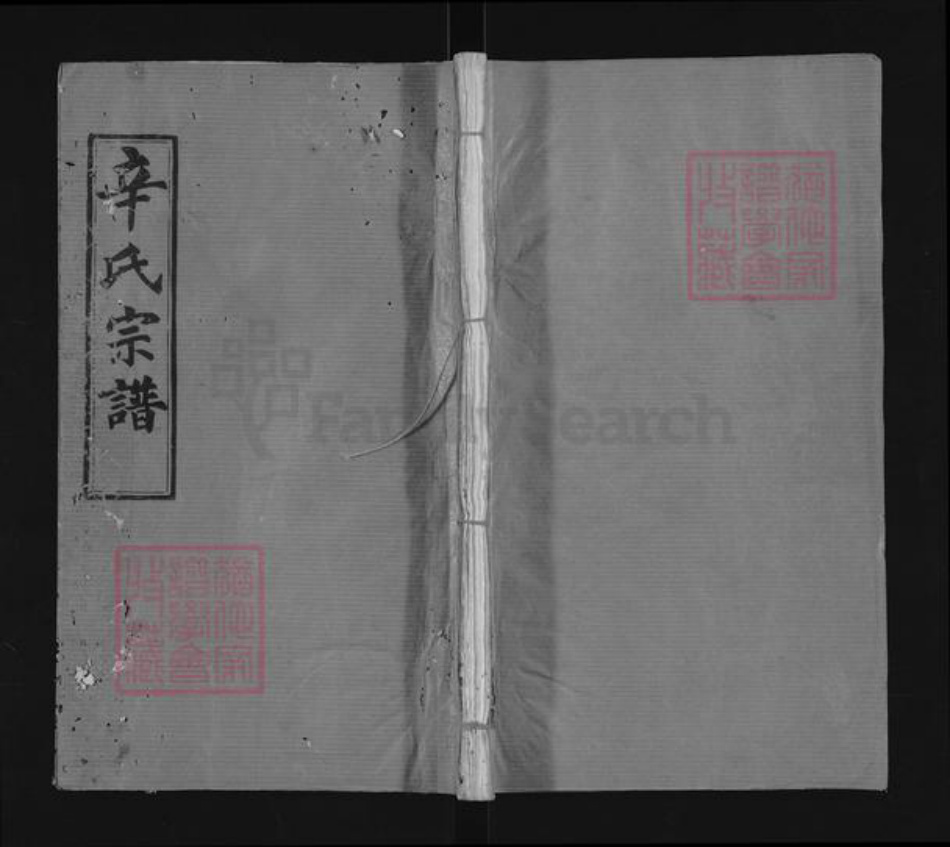 湖北省黄冈市麻城市辛氏八元堂族谱-辛氏宗谱.pdf电子版