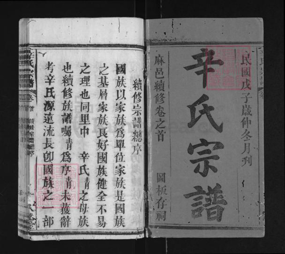 湖北省黄冈市麻城市辛氏八元堂族谱-辛氏宗谱.pdf电子版插图1