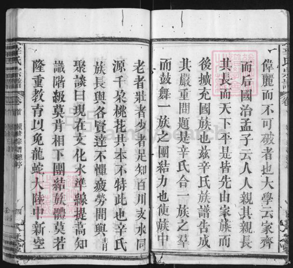 湖北省黄冈市麻城市辛氏八元堂族谱-辛氏宗谱.pdf电子版插图4