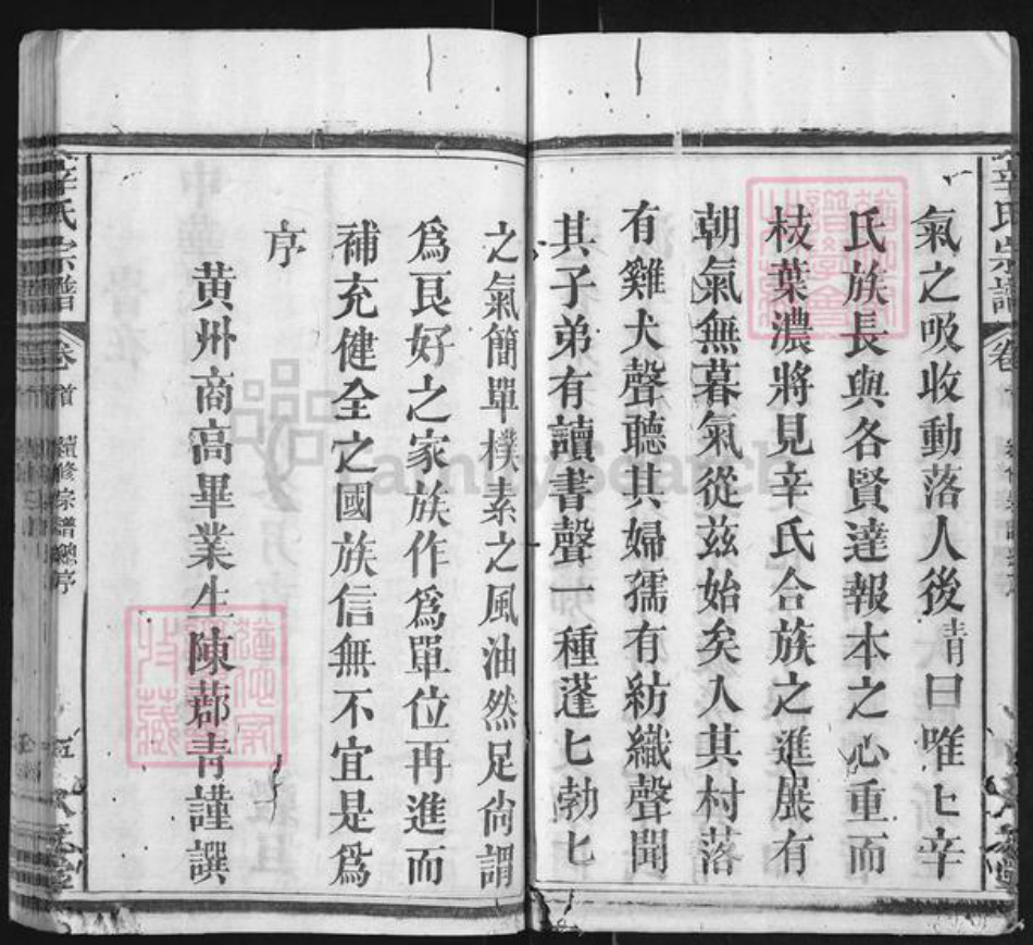 湖北省黄冈市麻城市辛氏八元堂族谱-辛氏宗谱.pdf电子版插图5