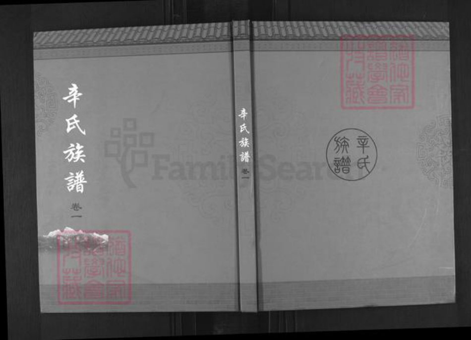 山东省青岛市崂山区辛氏族谱-辛氏族谱.pdf电子版插图 山东省青岛市崂山区辛氏族谱-辛氏族谱.pdf电子版插图