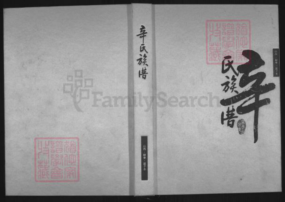 山西省忻州市静乐县中庄乡辛氏族谱-辛氏族谱.盆子水分支.pdf电子版