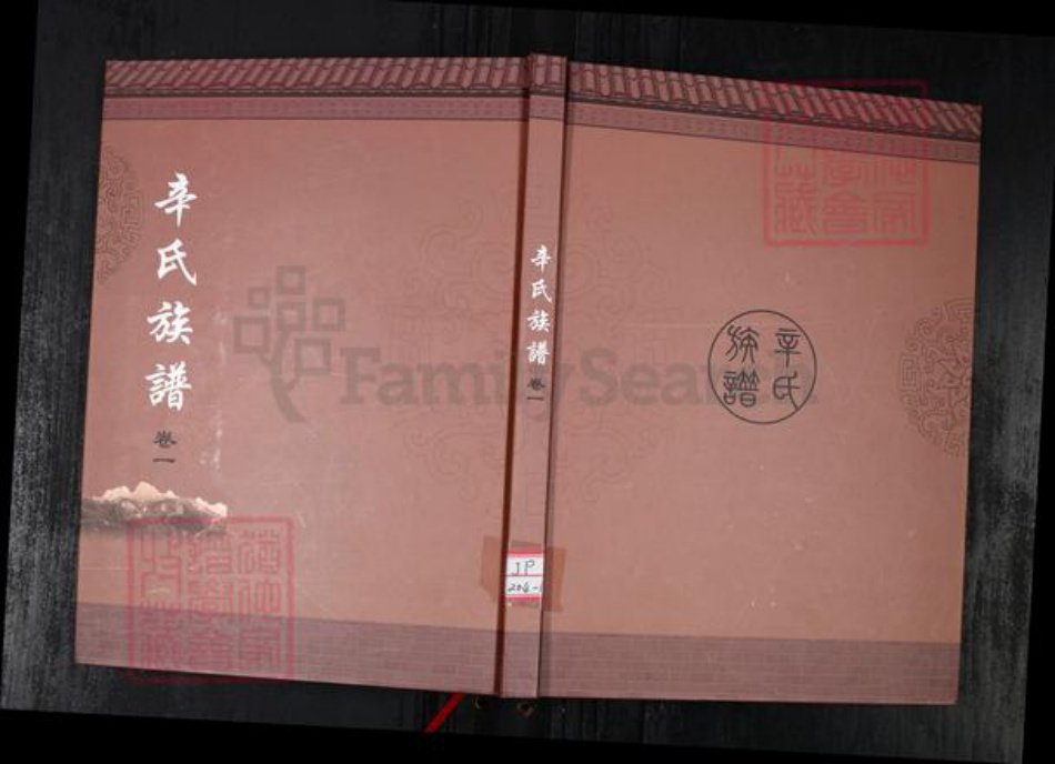 山东省青岛市辛氏族谱-辛氏族谱.pdf电子版插图 山东省青岛市辛氏族谱-辛氏族谱.pdf电子版插图