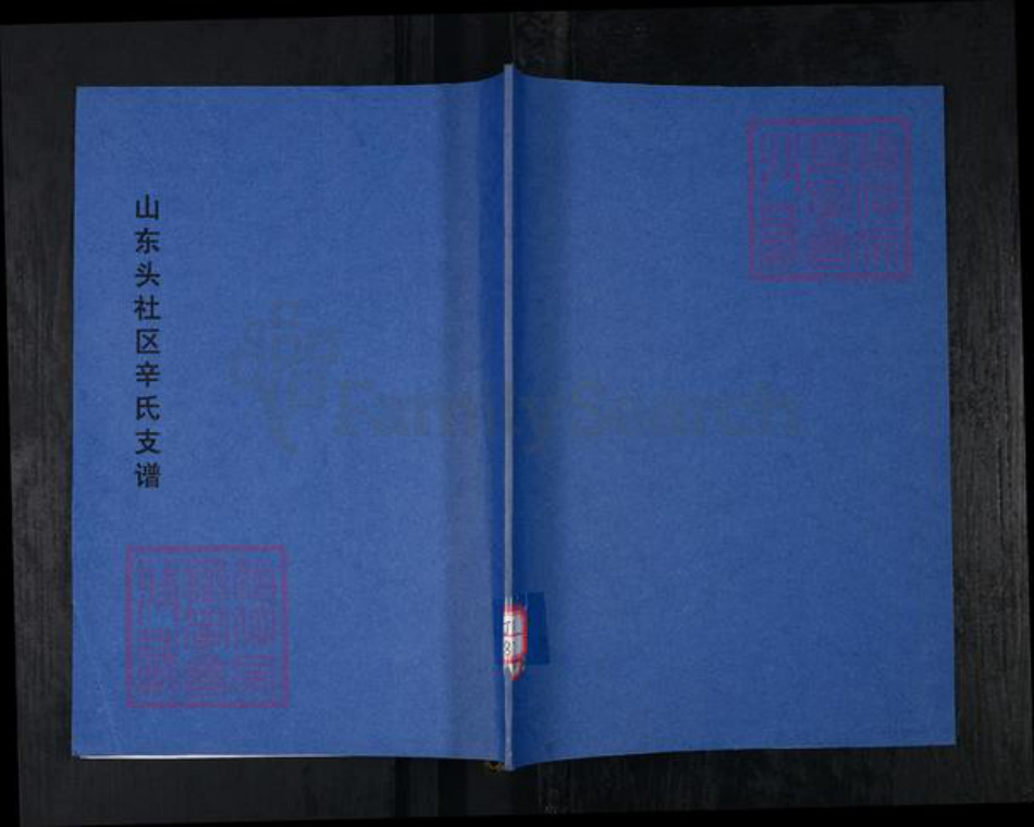 山东省青岛市崂山区辛氏族谱-山东头社区辛氏支谱.pdf电子版插图 山东省青岛市崂山区辛氏族谱-山东头社区辛氏支谱.pdf电子版插图