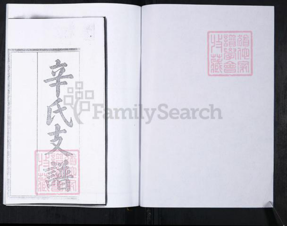 山东省青岛市崂山区辛氏族谱-山东头社区辛氏支谱.pdf电子版插图2 山东省青岛市崂山区辛氏族谱-山东头社区辛氏支谱.pdf电子版插图2