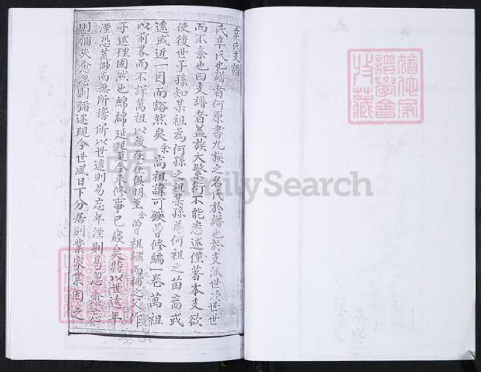 山东省青岛市崂山区辛氏族谱-山东头社区辛氏支谱.pdf电子版插图3 山东省青岛市崂山区辛氏族谱-山东头社区辛氏支谱.pdf电子版插图3
