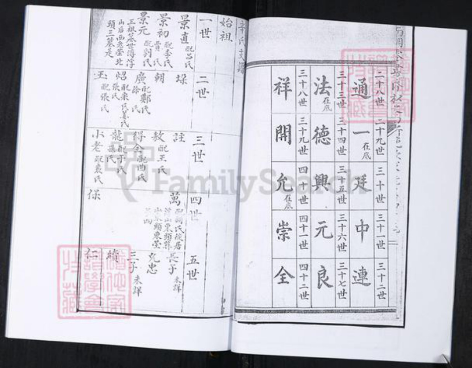 山东省青岛市崂山区辛氏族谱-山东头社区辛氏支谱.pdf电子版插图5 山东省青岛市崂山区辛氏族谱-山东头社区辛氏支谱.pdf电子版插图5