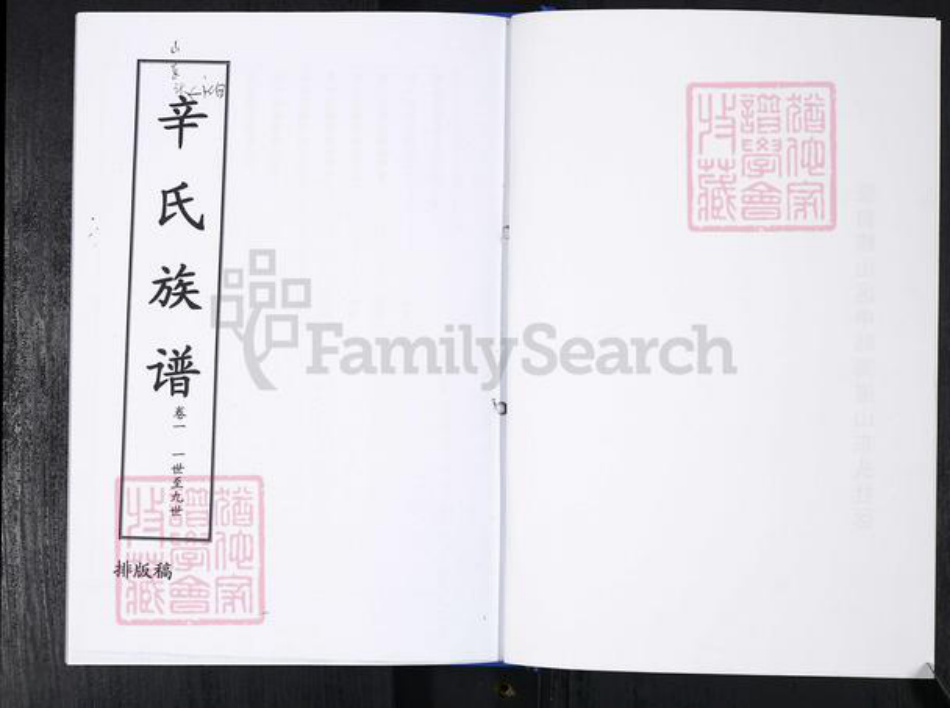 山东省青岛市崂山区辛氏族谱-崂山区辛氏族谱[3卷].pdf电子版插图1