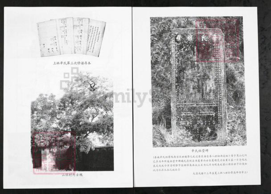 山东省潍坊市临朐县山旺镇辛氏族谱-临朐上林辛氏族谱.pdf电子版插图1