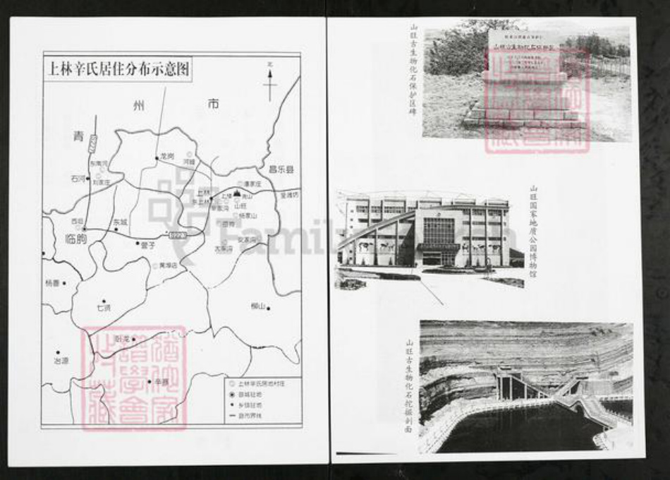 山东省潍坊市临朐县山旺镇辛氏族谱-临朐上林辛氏族谱.pdf电子版插图2