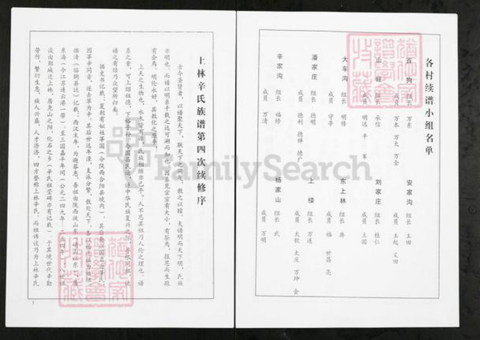 山东省潍坊市临朐县山旺镇辛氏族谱-临朐上林辛氏族谱.pdf电子版插图4