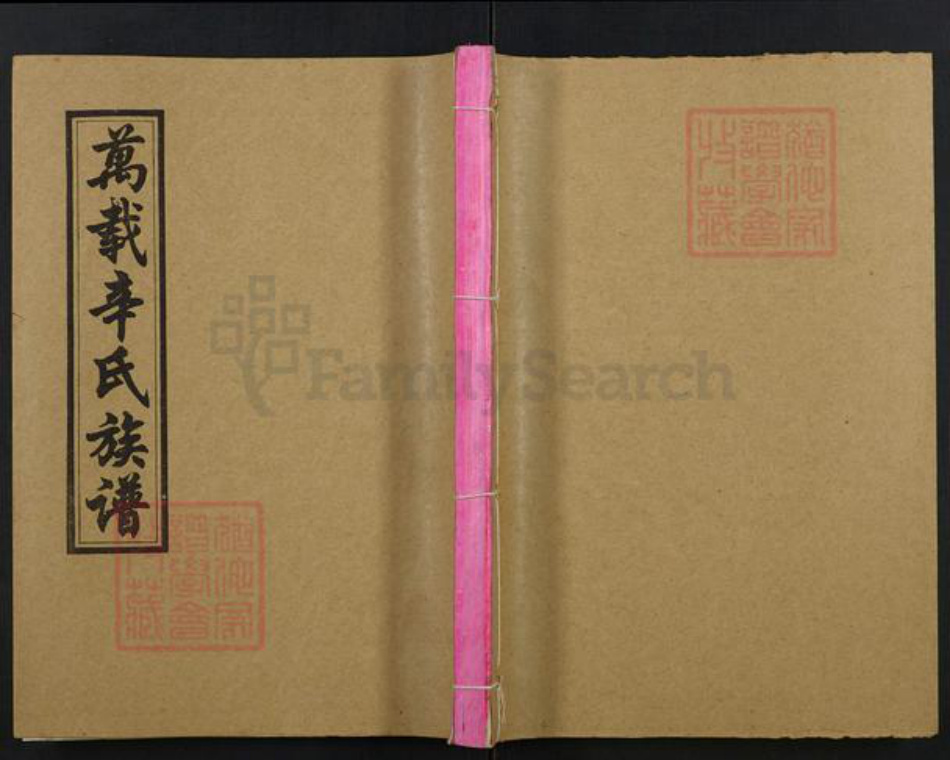 江西省宜春市万载县辛氏族谱-万载辛氏族谱.pdf电子版插图