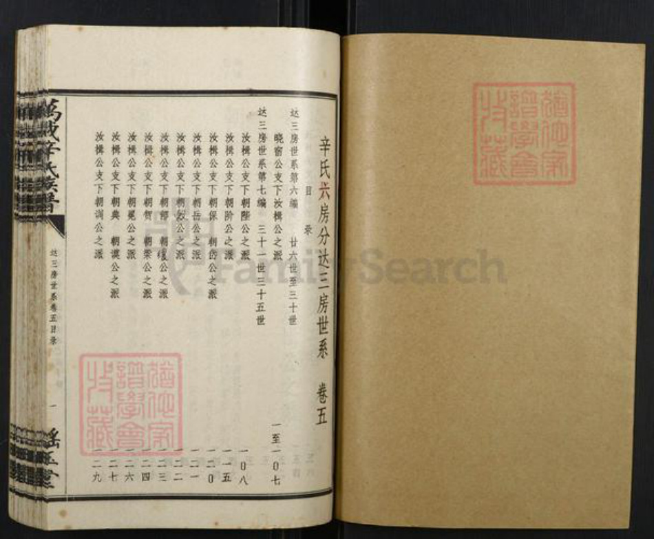 江西省宜春市万载县辛氏族谱-万载辛氏族谱.pdf电子版插图1