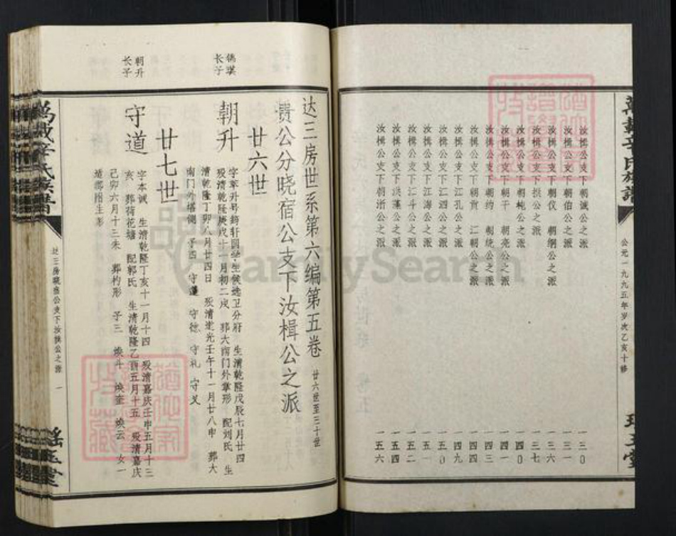 江西省宜春市万载县辛氏族谱-万载辛氏族谱.pdf电子版插图2