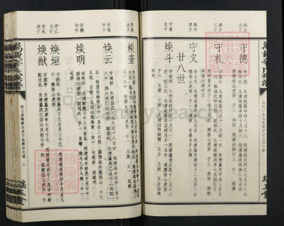 江西省宜春市万载县辛氏族谱-万载辛氏族谱.pdf电子版插图3