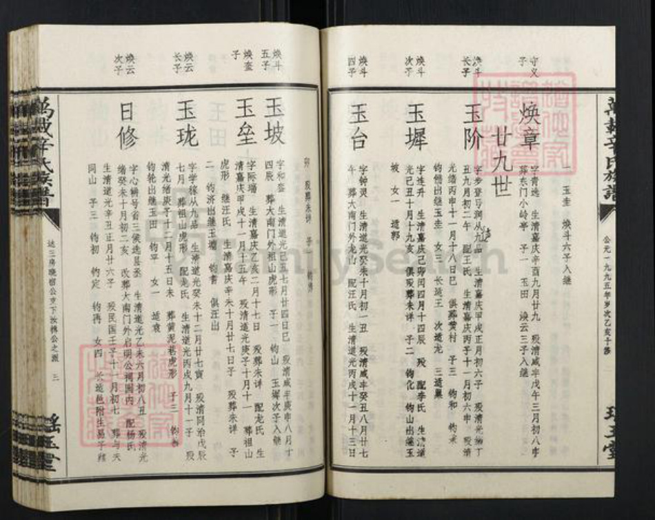 江西省宜春市万载县辛氏族谱-万载辛氏族谱.pdf电子版插图4