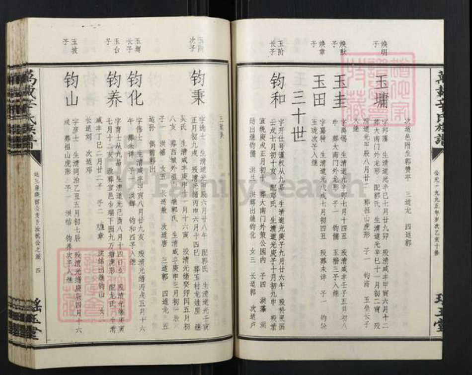 江西省宜春市万载县辛氏族谱-万载辛氏族谱.pdf电子版插图5